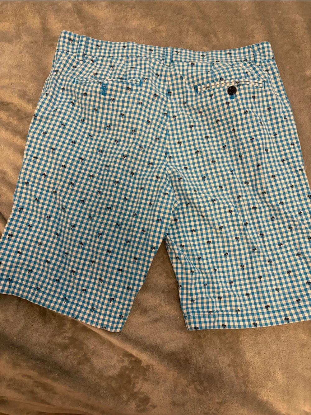 Banana Republic Blue and White Gingham Shorts with Navy Anchor Detail